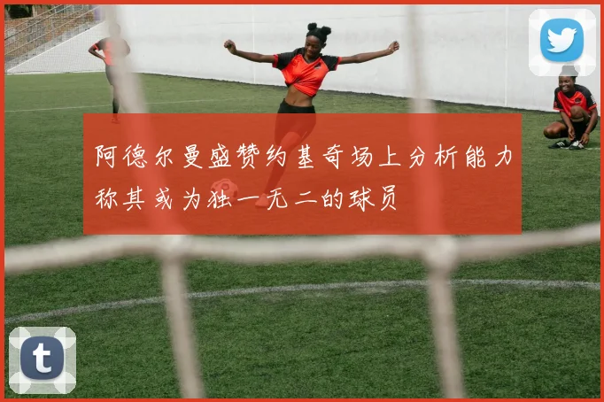 阿德尔曼盛赞约基奇场上分析能力称其或为独一无二的球员