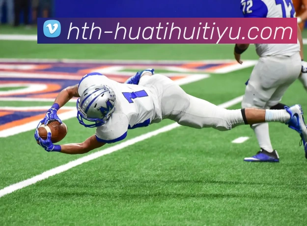 华体会体育平台生态图