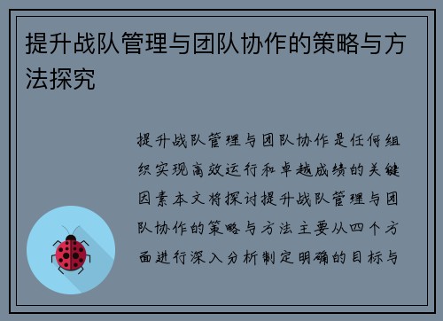 提升战队管理与团队协作的策略与方法探究