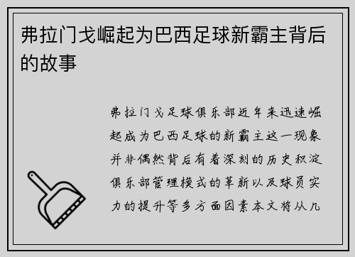 弗拉门戈崛起为巴西足球新霸主背后的故事