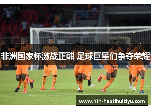 非洲国家杯激战正酣 足球巨星们争夺荣耀